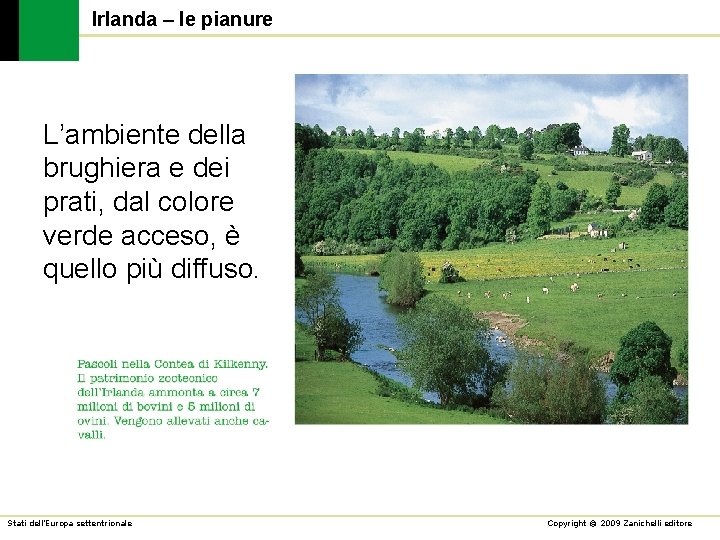 Irlanda – le pianure L’ambiente della brughiera e dei prati, dal colore verde acceso,