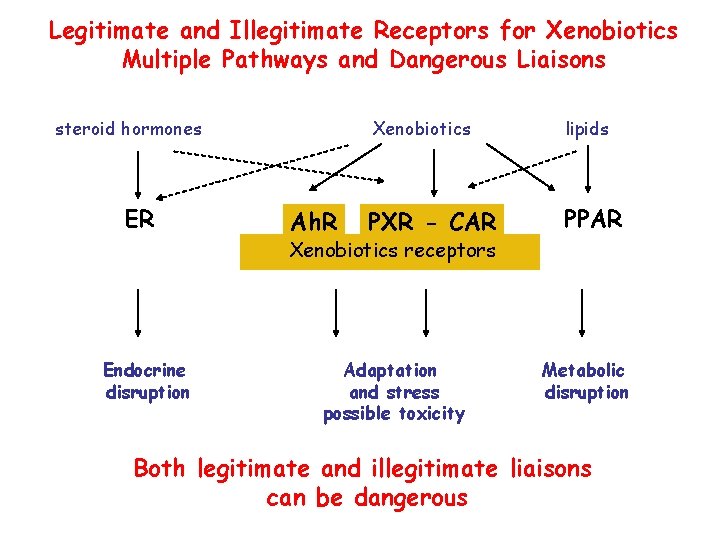 Legitimate and Illegitimate Receptors for Xenobiotics Multiple Pathways and Dangerous Liaisons steroid hormones ER