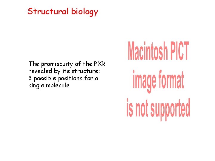 Structural biology The promiscuity of the PXR revealed by its structure: 3 possible positions