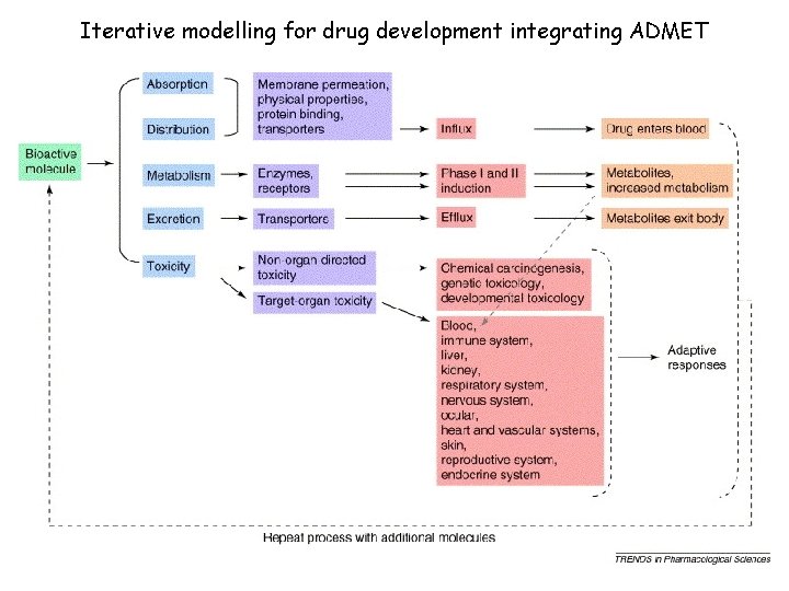 Iterative modelling for drug development integrating ADMET 