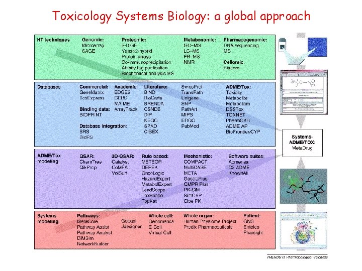 Toxicology Systems Biology: a global approach 