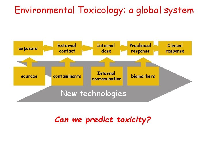 Environmental Toxicology: a global system exposure External contact Internal dose sources contaminants Internal contamination