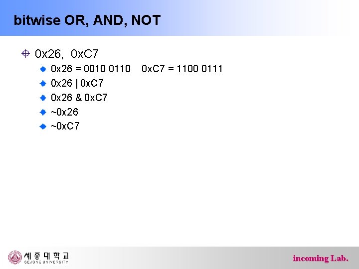 bitwise OR, AND, NOT 0 x 26, 0 x. C 7 0 x 26