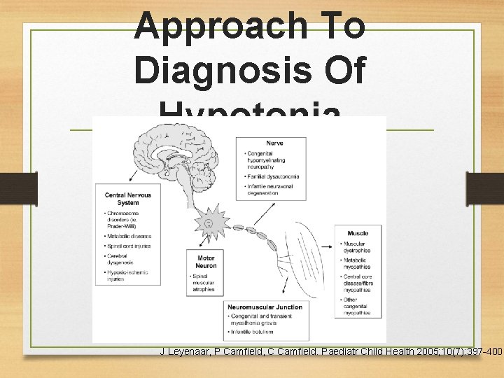 Approach To Diagnosis Of Hypotonia J Leyenaar, P Camfield, C Camfield. Paediatr Child Health