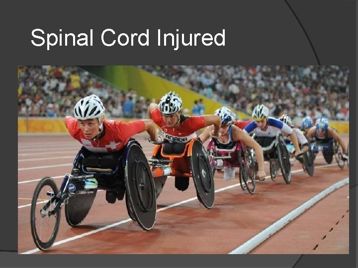 Spinal Cord Injured 