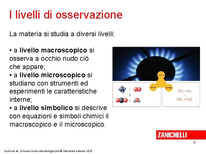 I livelli di osservazione La materia si studia a diversi livelli: • a livello I livelli di osservazione La materia si studia a diversi livelli: • a livello