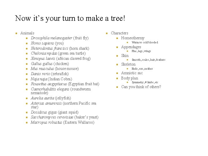 Now it’s your turn to make a tree! n Animals n Drosophila melanogaster (fruit