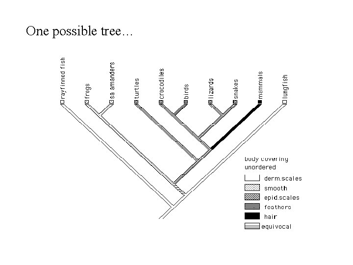 One possible tree… 
