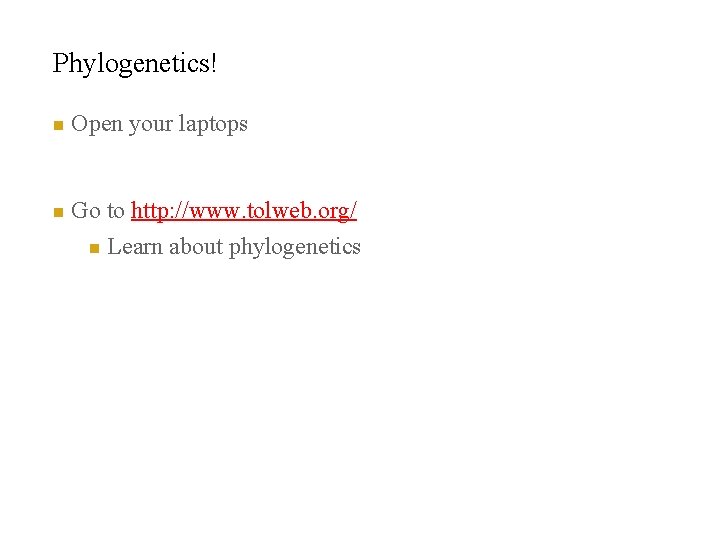 Phylogenetics! n n Open your laptops Go to http: //www. tolweb. org/ n Learn