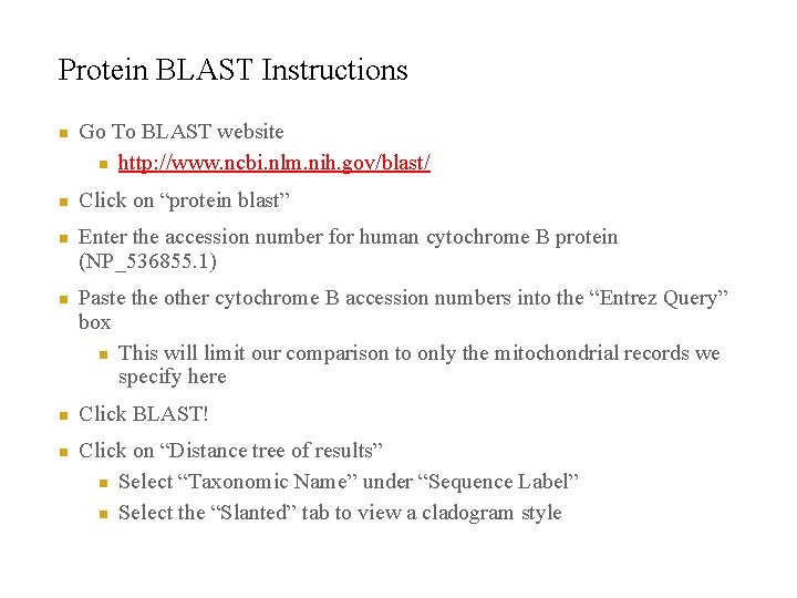 Protein BLAST Instructions n n n Go To BLAST website n http: //www. ncbi.