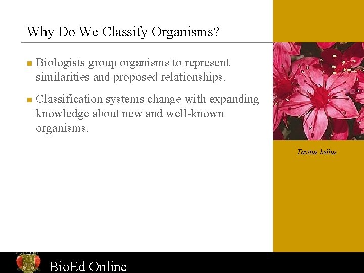 Diversity of Life Introduction to Biological Classification Bio