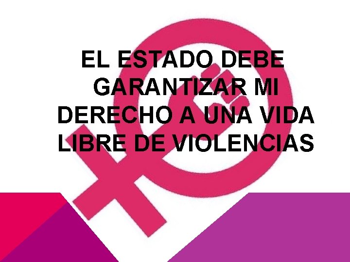  EL ESTADO DEBE GARANTIZAR MI DERECHO A UNA VIDA LIBRE DE VIOLENCIAS 