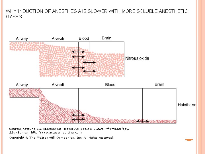 WHY INDUCTION OF ANESTHESIA IS SLOWER WITH MORE SOLUBLE ANESTHETIC GASES 