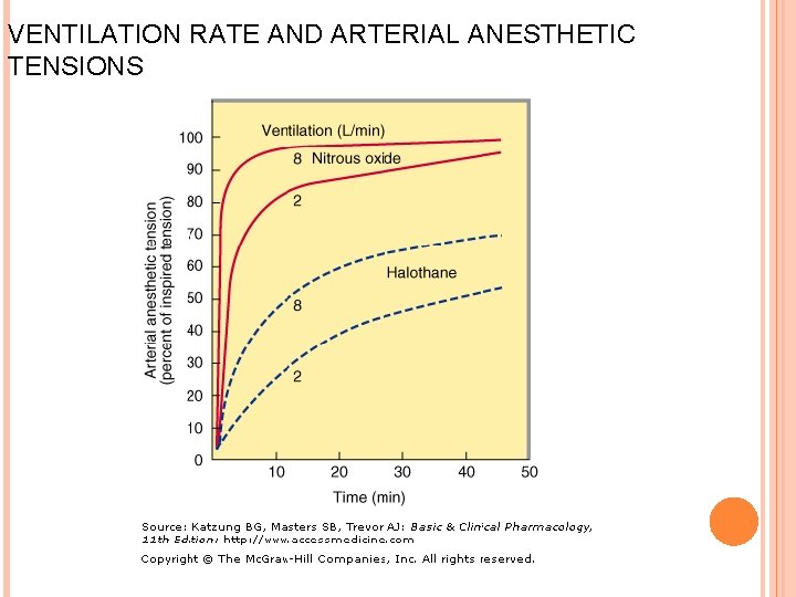 VENTILATION RATE AND ARTERIAL ANESTHETIC TENSIONS 