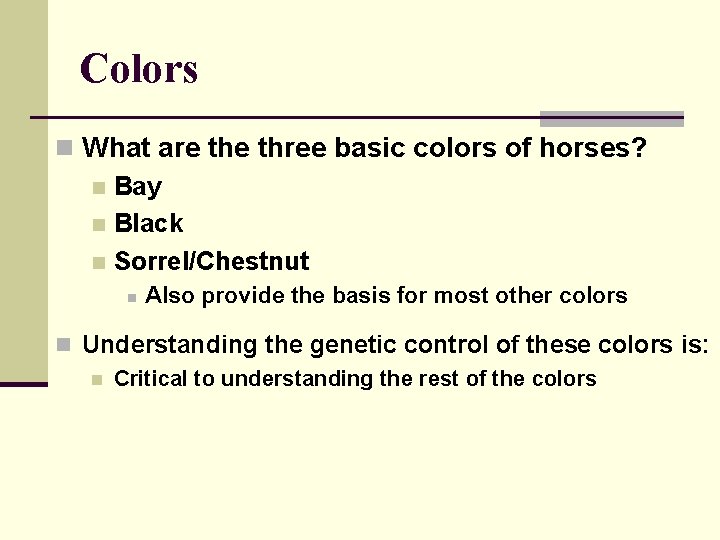 Colors n What are three basic colors of horses? n Bay n Black n