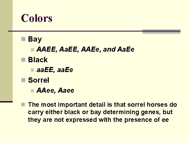 Colors n Bay n AAEE, Aa. EE, AAEe, and Aa. Ee n Black n