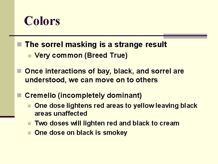 Colors n The sorrel masking is a strange result n Very common (Breed True)
