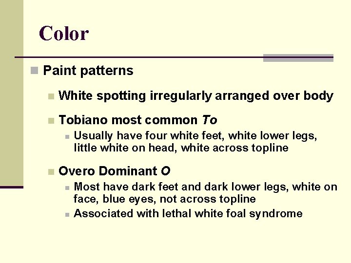 Color n Paint patterns n White spotting irregularly arranged over body n Tobiano most