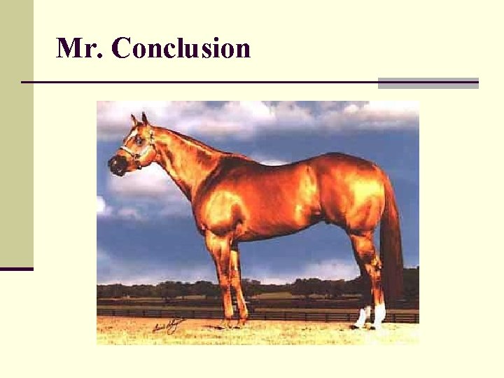 Mr. Conclusion 