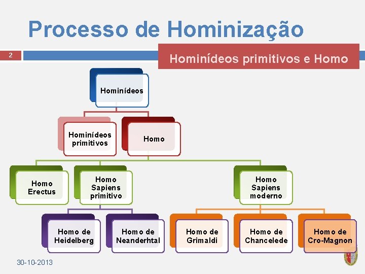 Processo de Hominização Hominídeos primitivos e Homo 2 Hominídeos primitivos Homo Erectus Homo Sapiens