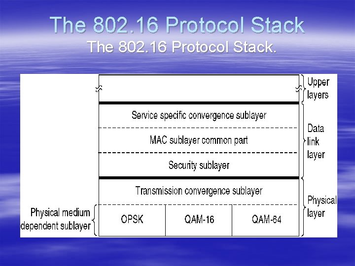 The 802. 16 Protocol Stack. 