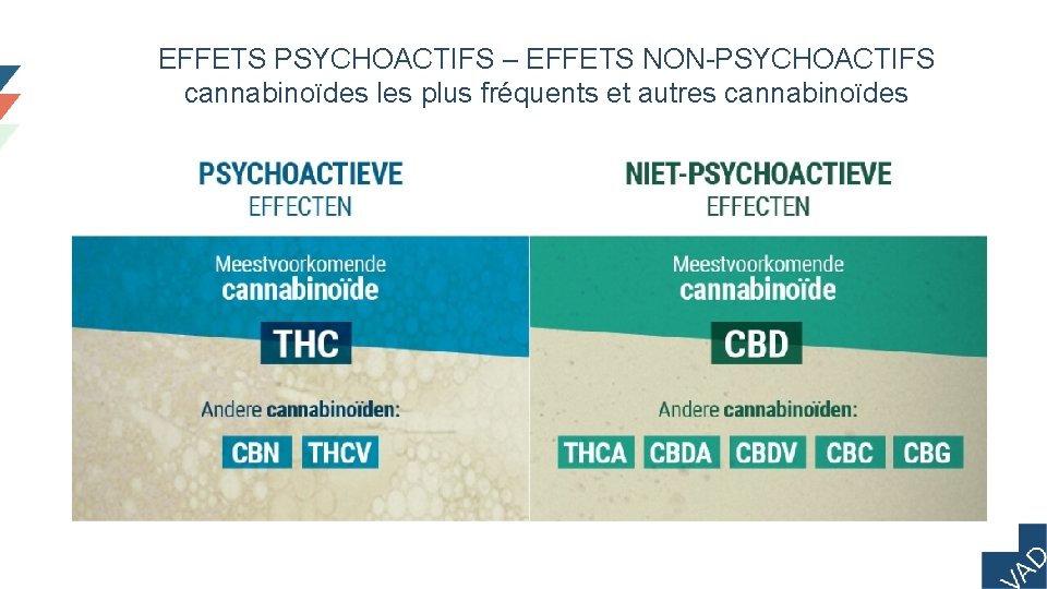 EFFETS PSYCHOACTIFS – EFFETS NON-PSYCHOACTIFS cannabinoïdes les plus fréquents et autres cannabinoïdes 