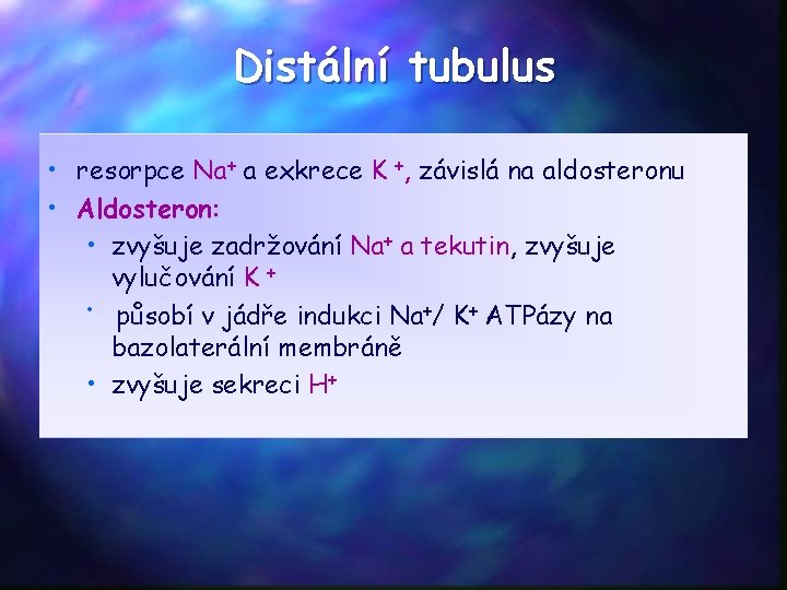 Distální tubulus • resorpce Na+ a exkrece K +, závislá na aldosteronu • Aldosteron: