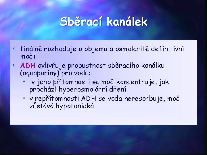 Sběrací kanálek • finálně rozhoduje o objemu a osmolaritě definitivní moči • ADH ovlivňuje