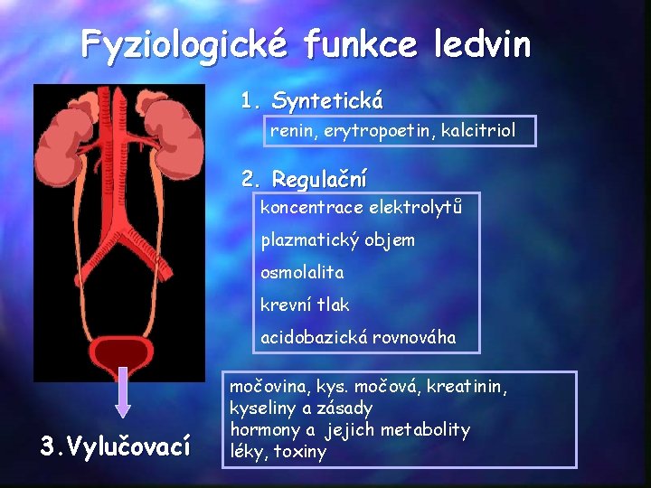 Fyziologické funkce ledvin 1. Syntetická renin, erytropoetin, kalcitriol 2. Regulační koncentrace elektrolytů plazmatický objem