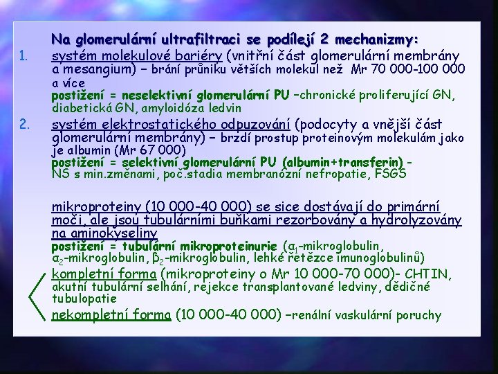 1. 2. Na glomerulární ultrafiltraci se podílejí 2 mechanizmy: systém molekulové bariéry (vnitřní část