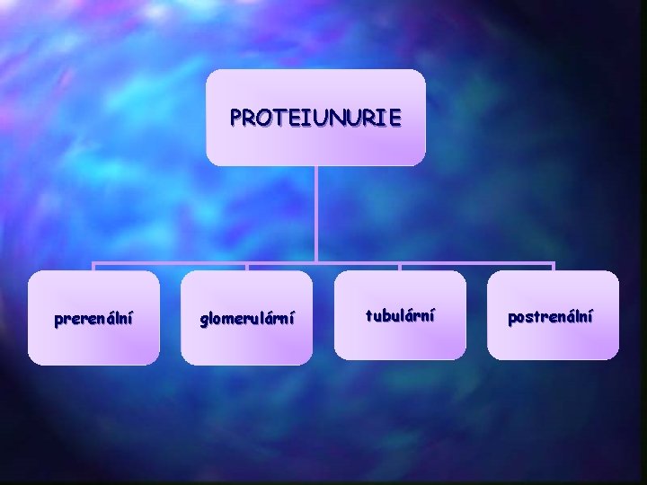 PROTEIUNURIE prerenální glomerulární tubulární postrenální 