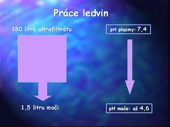 Práce ledvin 180 litrů ultrafiltrátu 1, 5 litru moči p. H plazmy: 7, 4