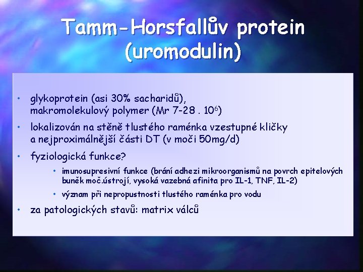 Tamm-Horsfallův protein (uromodulin) • glykoprotein (asi 30% sacharidů), makromolekulový polymer (Mr 7 -28. 106)