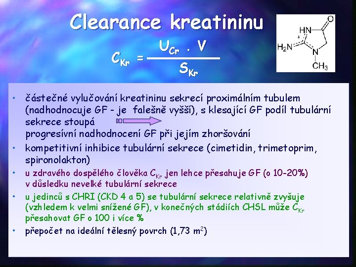 Clearance kreatininu CKr = UCr. V SKr • částečné vylučování kreatininu sekrecí proximálním tubulem