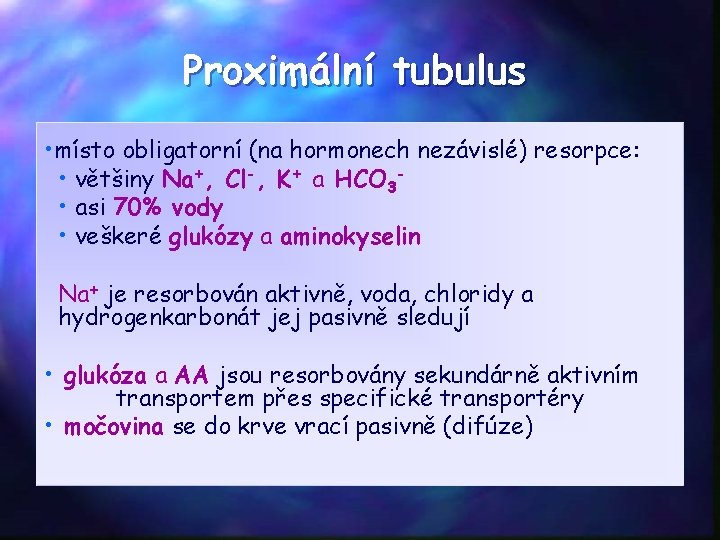 Proximální tubulus • místo obligatorní (na hormonech nezávislé) resorpce: • většiny Na+, Cl-, K+