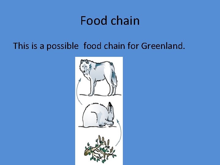 Food chain This is a possible food chain for Greenland. 