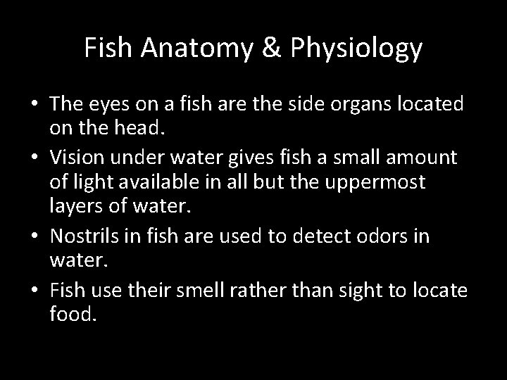 Fish Anatomy & Physiology • The eyes on a fish are the side organs