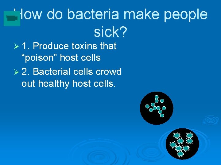 How do bacteria make people sick? Ø 1. Produce toxins that “poison” host cells