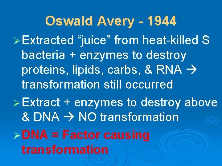 Oswald Avery - 1944 Ø Extracted “juice” from heat-killed S bacteria + enzymes to