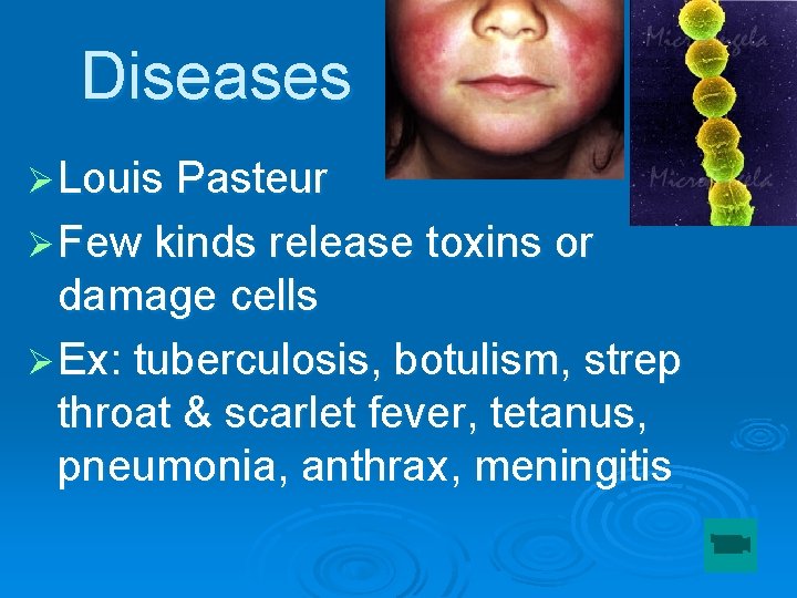 Diseases Ø Louis Pasteur Ø Few kinds release toxins or damage cells Ø Ex: