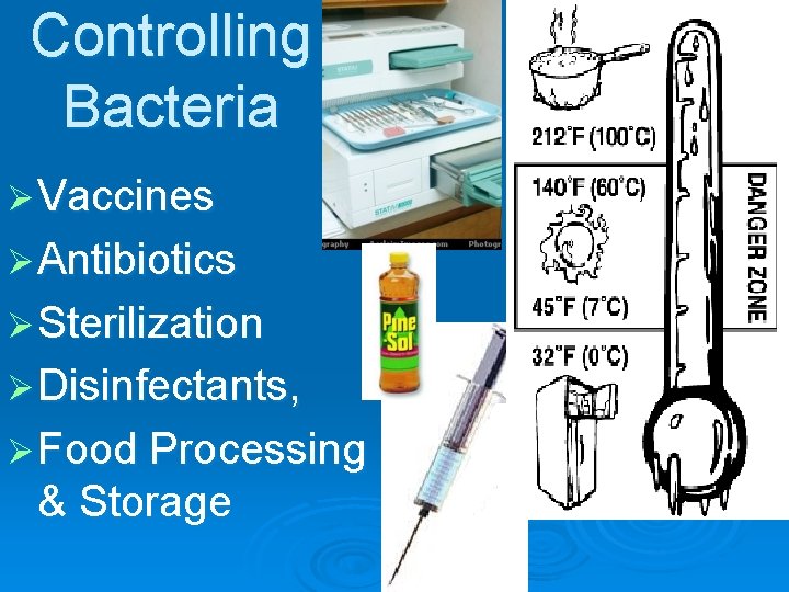 Controlling Bacteria Ø Vaccines Ø Antibiotics Ø Sterilization Ø Disinfectants, Ø Food Processing &