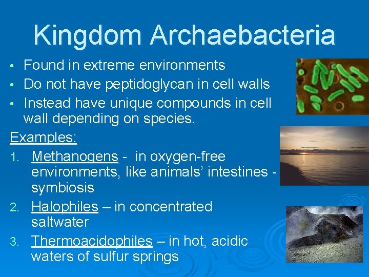 Kingdom Archaebacteria Found in extreme environments • Do not have peptidoglycan in cell walls