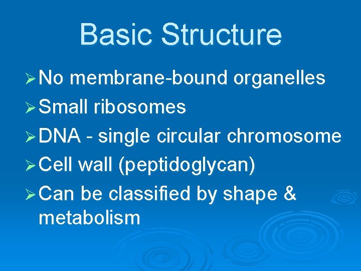 Basic Structure Ø No membrane-bound organelles Ø Small ribosomes Ø DNA - single circular
