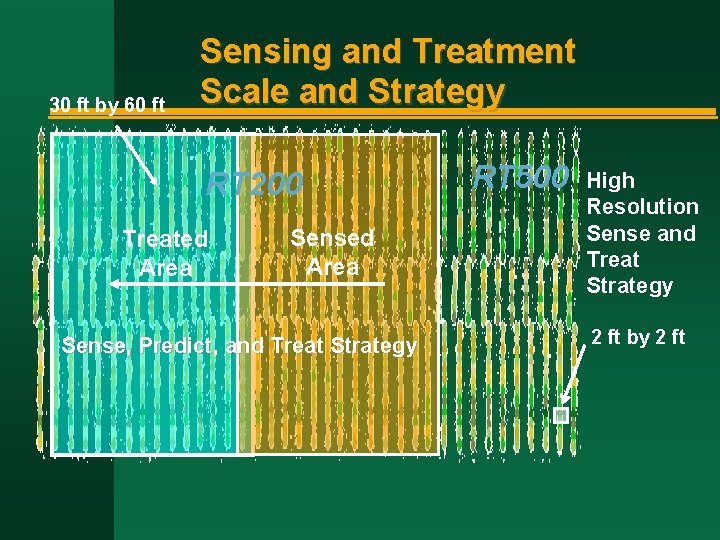 30 ft by 60 ft Sensing and Treatment Scale and Strategy RT 200 Treated
