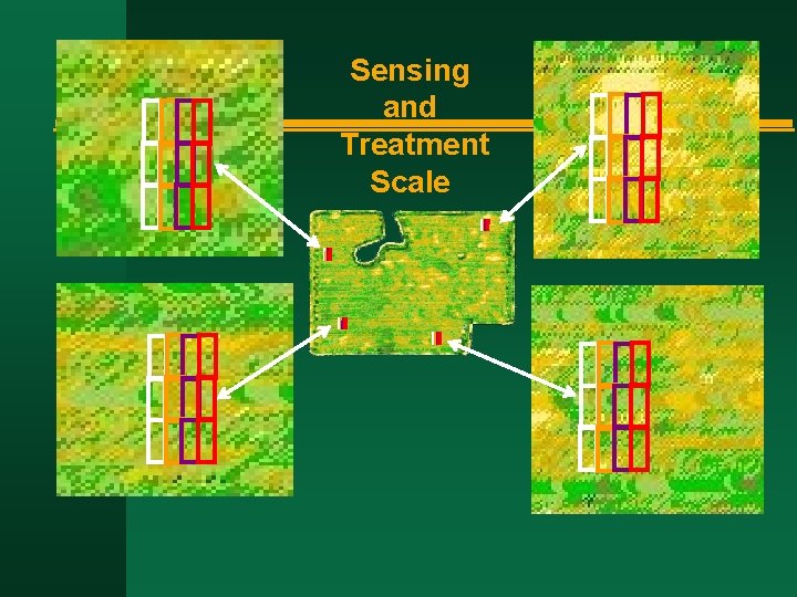 Sensing and Treatment Scale 