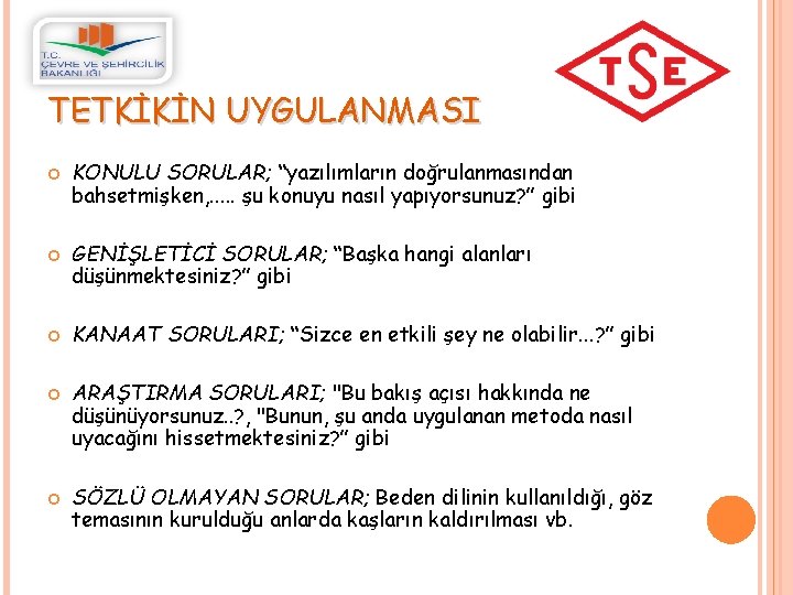 TETKİKİN UYGULANMASI KONULU SORULAR; “yazılımların doğrulanmasından bahsetmişken, . . . şu konuyu nasıl yapıyorsunuz?