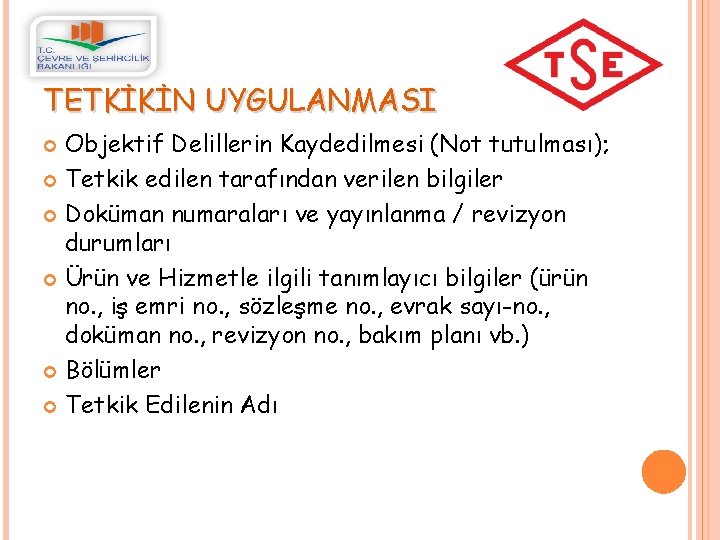 TETKİKİN UYGULANMASI Objektif Delillerin Kaydedilmesi (Not tutulması); Tetkik edilen tarafından verilen bilgiler Doküman numaraları