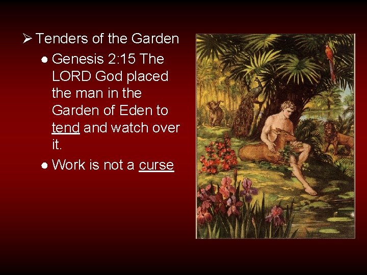 Ø Tenders of the Garden ● Genesis 2: 15 The LORD God placed the