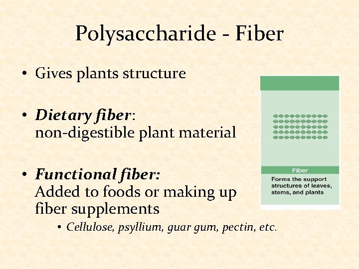 Polysaccharide - Fiber • Gives plants structure • Dietary fiber: non-digestible plant material •