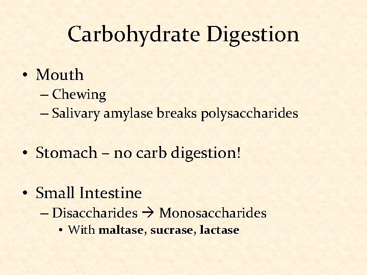 Carbohydrate Digestion • Mouth – Chewing – Salivary amylase breaks polysaccharides • Stomach –